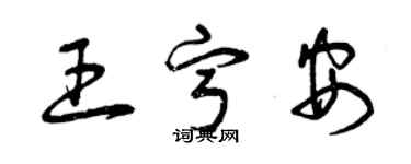 曾慶福王寧安草書個性簽名怎么寫