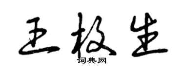 曾慶福王枚生草書個性簽名怎么寫