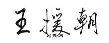 駱恆光王援朝行書個性簽名怎么寫