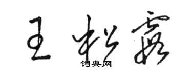 駱恆光王松霞草書個性簽名怎么寫