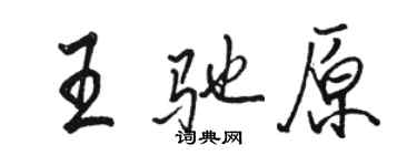 駱恆光王馳原行書個性簽名怎么寫