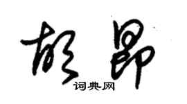 朱錫榮胡昂草書個性簽名怎么寫