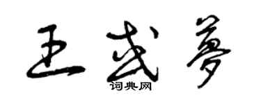 曾慶福王或夢草書個性簽名怎么寫