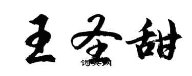 胡問遂王聖甜行書個性簽名怎么寫