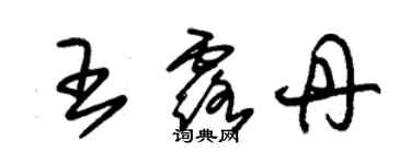 朱錫榮王露丹草書個性簽名怎么寫