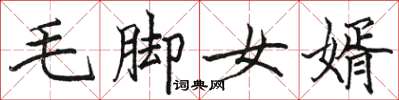 駱恆光毛腳女婿楷書怎么寫