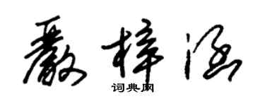 朱錫榮嚴梓涵草書個性簽名怎么寫