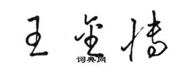 駱恆光王金博草書個性簽名怎么寫