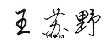 駱恆光王蘇野行書個性簽名怎么寫