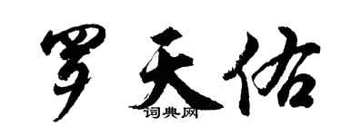 胡問遂羅天佑行書個性簽名怎么寫