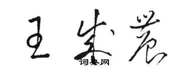 駱恆光王成農草書個性簽名怎么寫