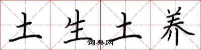 荊霄鵬土生土養楷書怎么寫