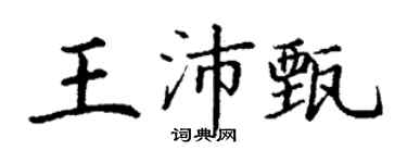 丁謙王沛甄楷書個性簽名怎么寫