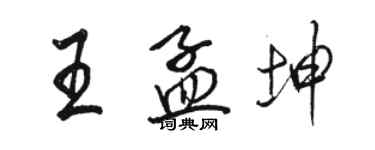 駱恆光王孟坤行書個性簽名怎么寫