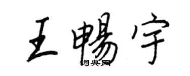 王正良王暢宇行書個性簽名怎么寫