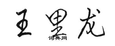 駱恆光王里龍行書個性簽名怎么寫