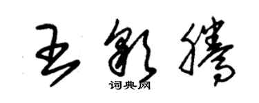 朱錫榮王彩騰草書個性簽名怎么寫