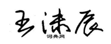 朱錫榮王沫辰草書個性簽名怎么寫