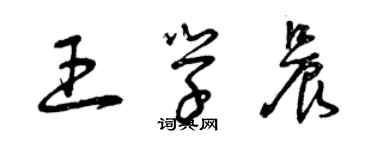 曾慶福王學晨草書個性簽名怎么寫