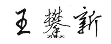 駱恆光王攀新行書個性簽名怎么寫