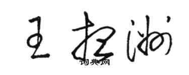 駱恆光王想洲草書個性簽名怎么寫
