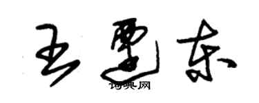朱錫榮王遷東草書個性簽名怎么寫
