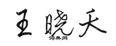 駱恆光王曉夭行書個性簽名怎么寫