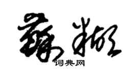 朱錫榮蘇糊草書個性簽名怎么寫