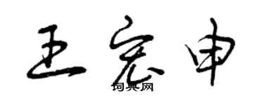 曾慶福王宏申草書個性簽名怎么寫