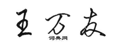 駱恆光王萬友行書個性簽名怎么寫