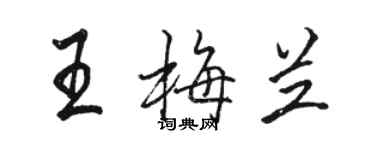 駱恆光王梅蘭行書個性簽名怎么寫