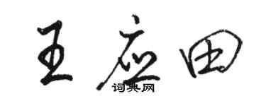駱恆光王應田行書個性簽名怎么寫
