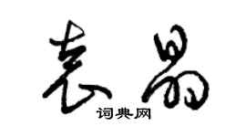 曾慶福袁晶草書個性簽名怎么寫