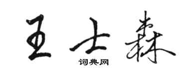 駱恆光王士森行書個性簽名怎么寫