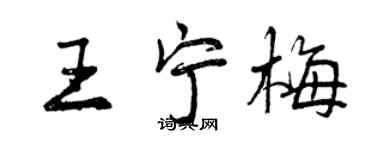 曾慶福王寧梅行書個性簽名怎么寫