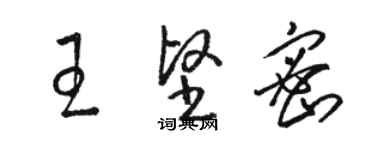 駱恆光王堅密草書個性簽名怎么寫