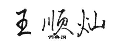 駱恆光王順燦行書個性簽名怎么寫