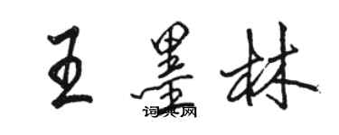 駱恆光王墨林行書個性簽名怎么寫