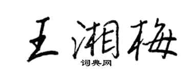 王正良王湘梅行書個性簽名怎么寫