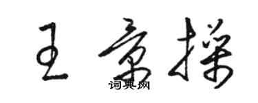 駱恆光王景操草書個性簽名怎么寫