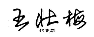 朱錫榮王壯梅草書個性簽名怎么寫