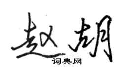 駱恆光趙胡行書個性簽名怎么寫