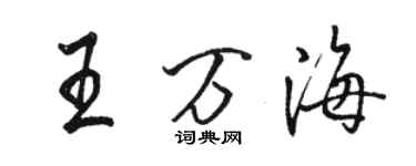 駱恆光王萬海行書個性簽名怎么寫