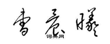 梁錦英曹晨曦草書個性簽名怎么寫