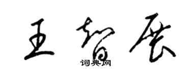 梁錦英王智展草書個性簽名怎么寫