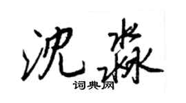 王正良沈淼行書個性簽名怎么寫