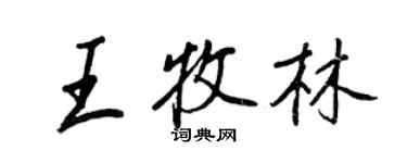 王正良王牧林行書個性簽名怎么寫