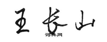 駱恆光王長山行書個性簽名怎么寫