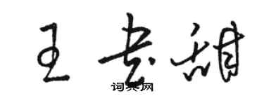 駱恆光王書甜草書個性簽名怎么寫