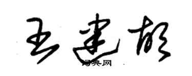 朱錫榮王建胡草書個性簽名怎么寫